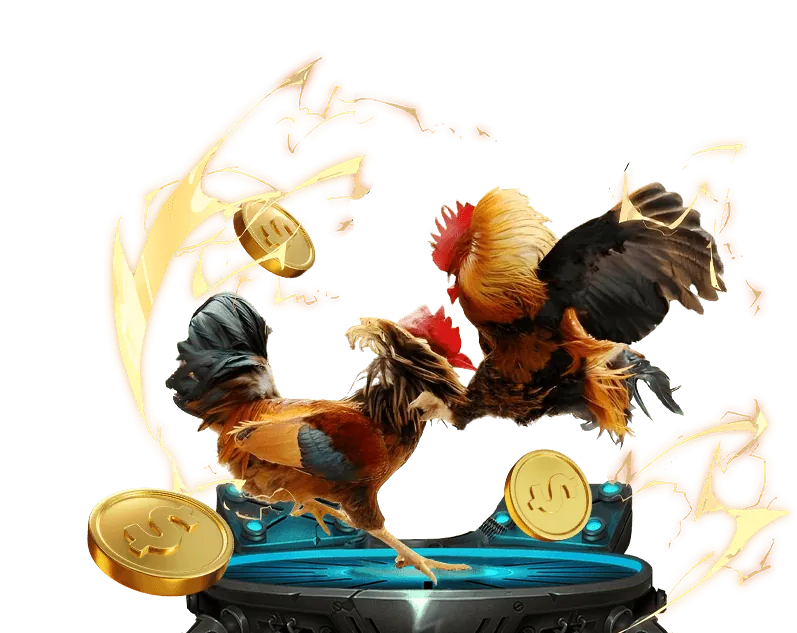 Các loại Cookie 78win sử dụng